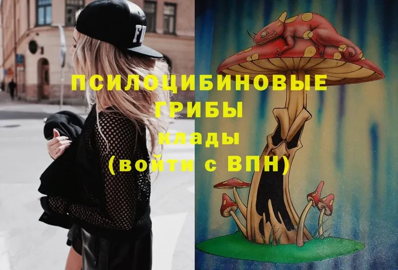 Галлюциногенные грибы Magic Shrooms  купить наркоту  Корсаков 